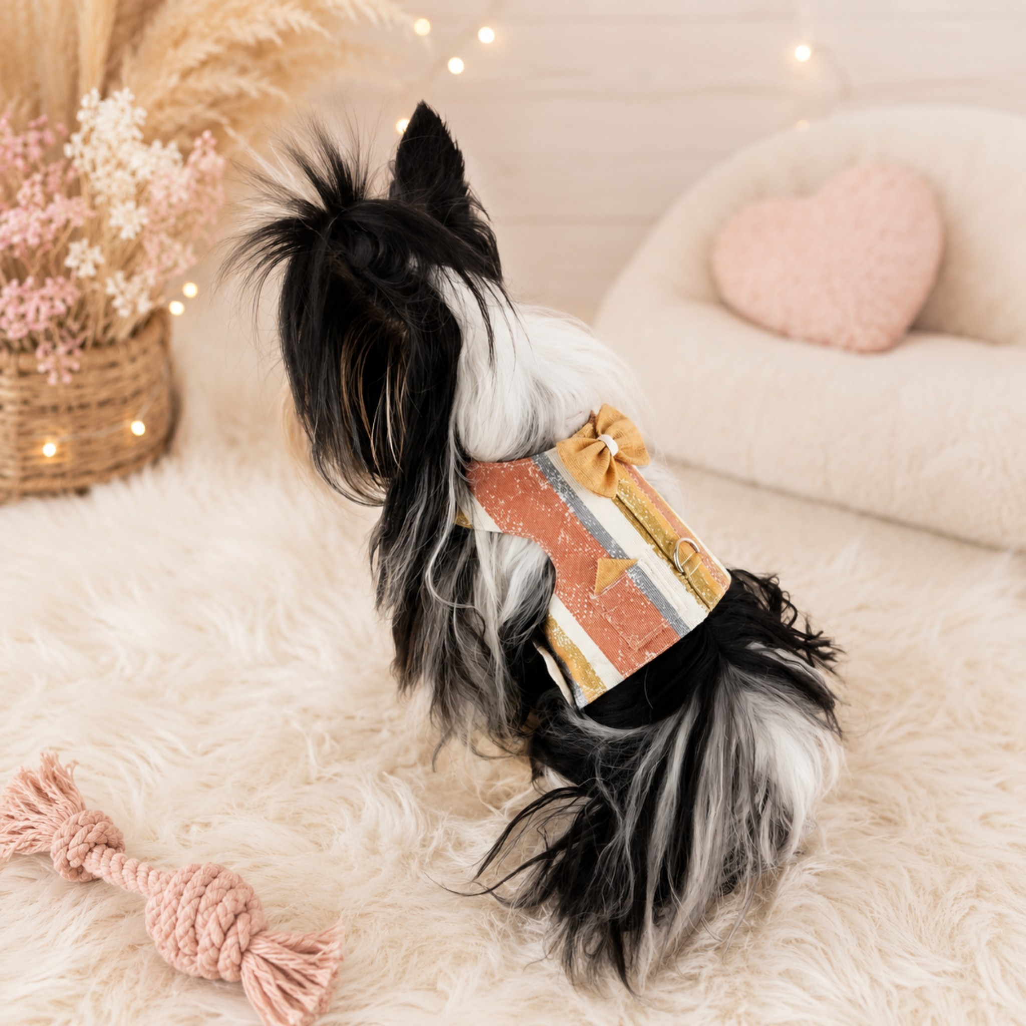 Pettorina Elegance con Papillon e Taschino